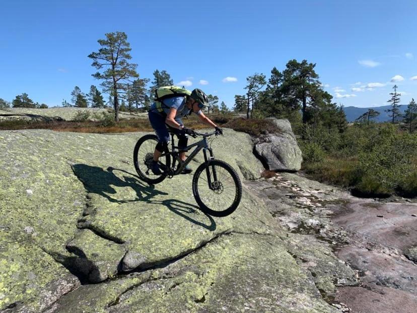 Vradal Panorama - Flott Hytte Pa Toppen Villa Sinnes Esterno foto